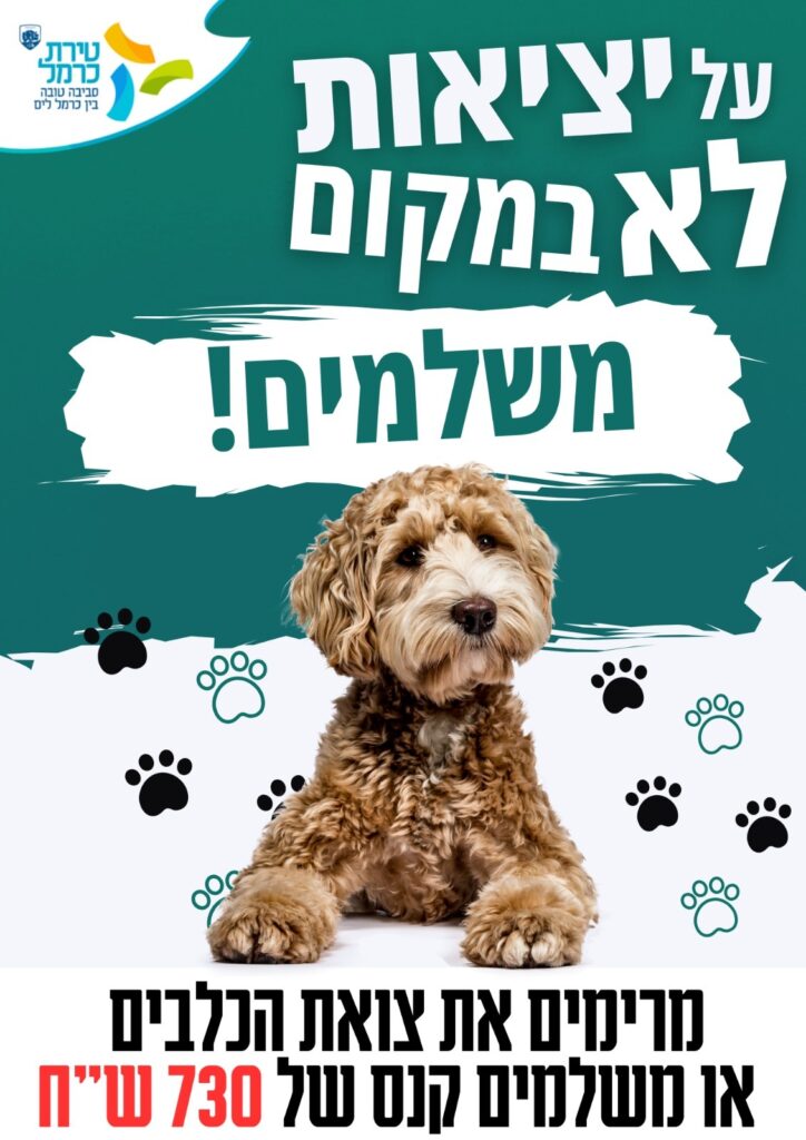 קמפיין איסוף צואת כלבים